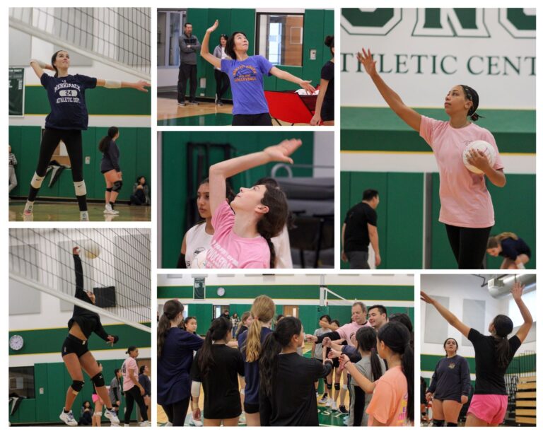a collage of volleyball players and coaches